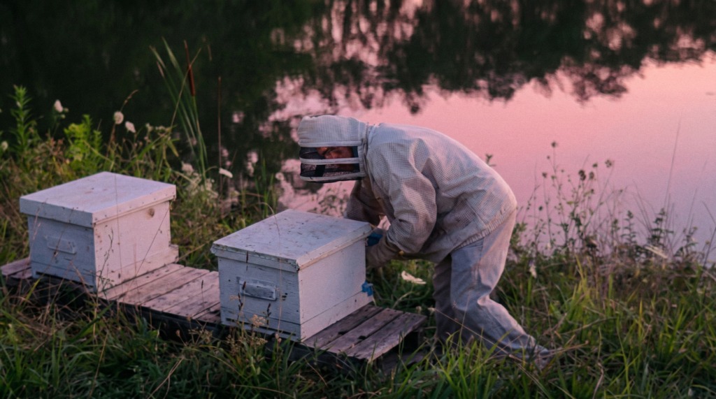 Beekeeping Honey Harvesting