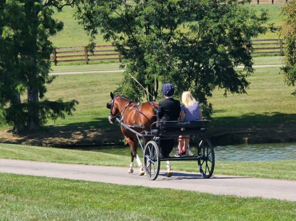 Horse-drawn Carriage Ride