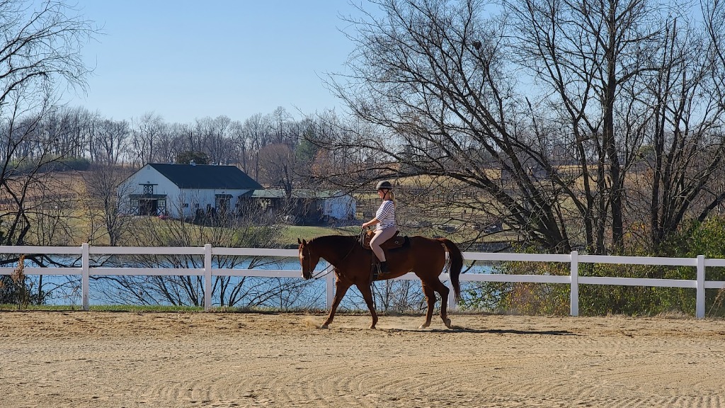 Equestrian Riding Lessons in Arena by the Lake