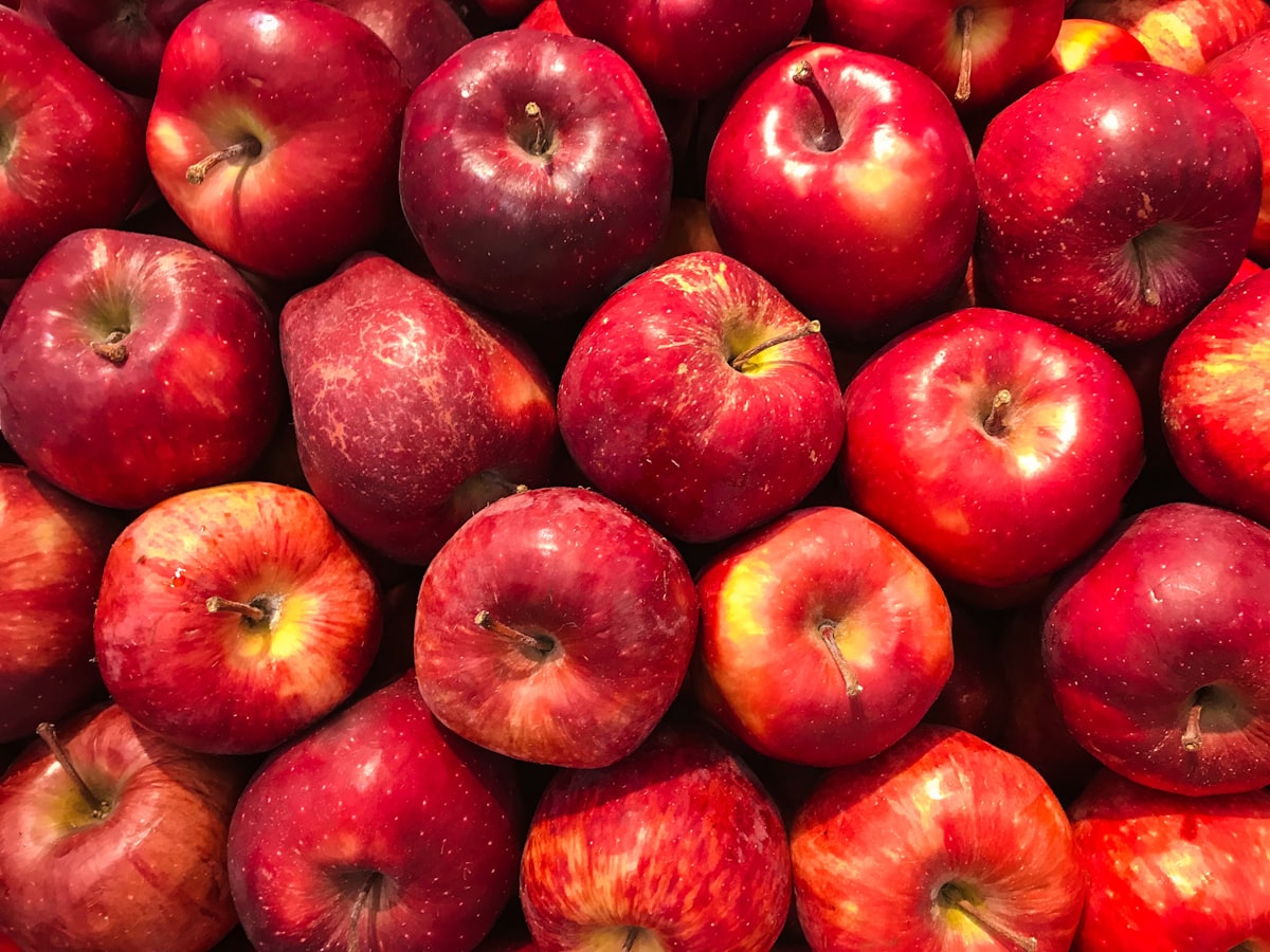 Evans Orchard and Cider Mill