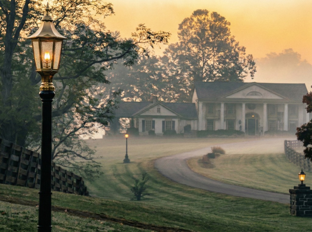 Queenslake Mansion Driveway at Dawn