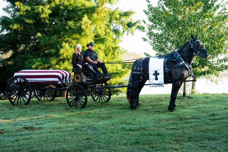 Friesian Horse Caisson and American Flag Tribute at Queenslake