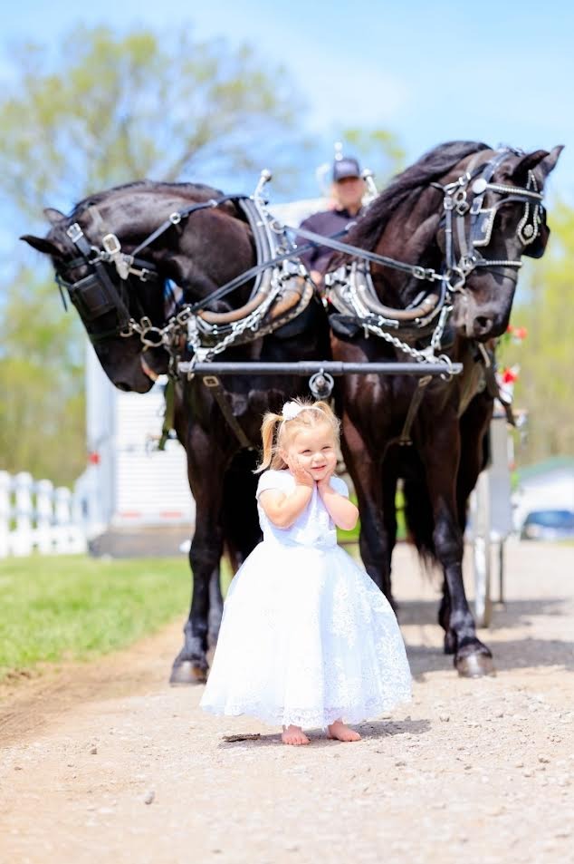 Queenslake Horse-Drawn Carriage with Friesian Horses