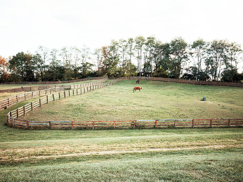 QueensLake Farm Horse Boarding 12